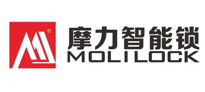 力维 必达 尔 科裕 天宇 同创新佳 金指码 博克……这些成立20年以上的智能锁(图10)