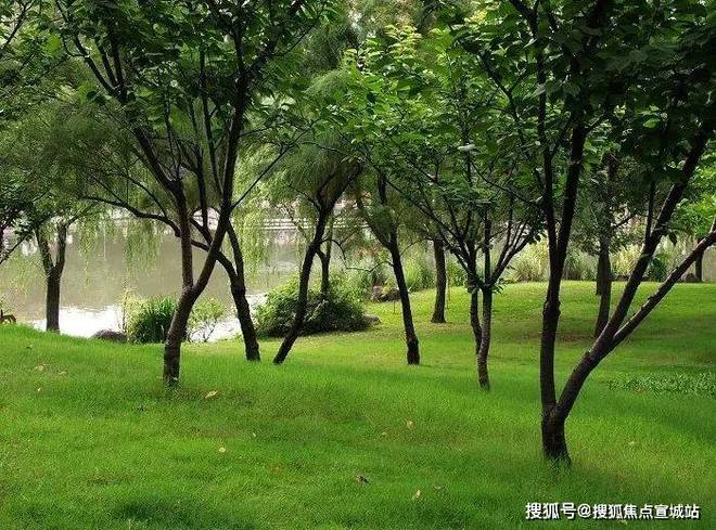 2025徐汇天境）徐汇天境官方网站_百度百科_上海房天下(图6)